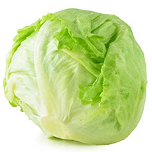 fresh-cut-lettuce